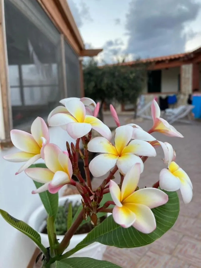 Appartamenti Pomelia - Lampedusa Apartment