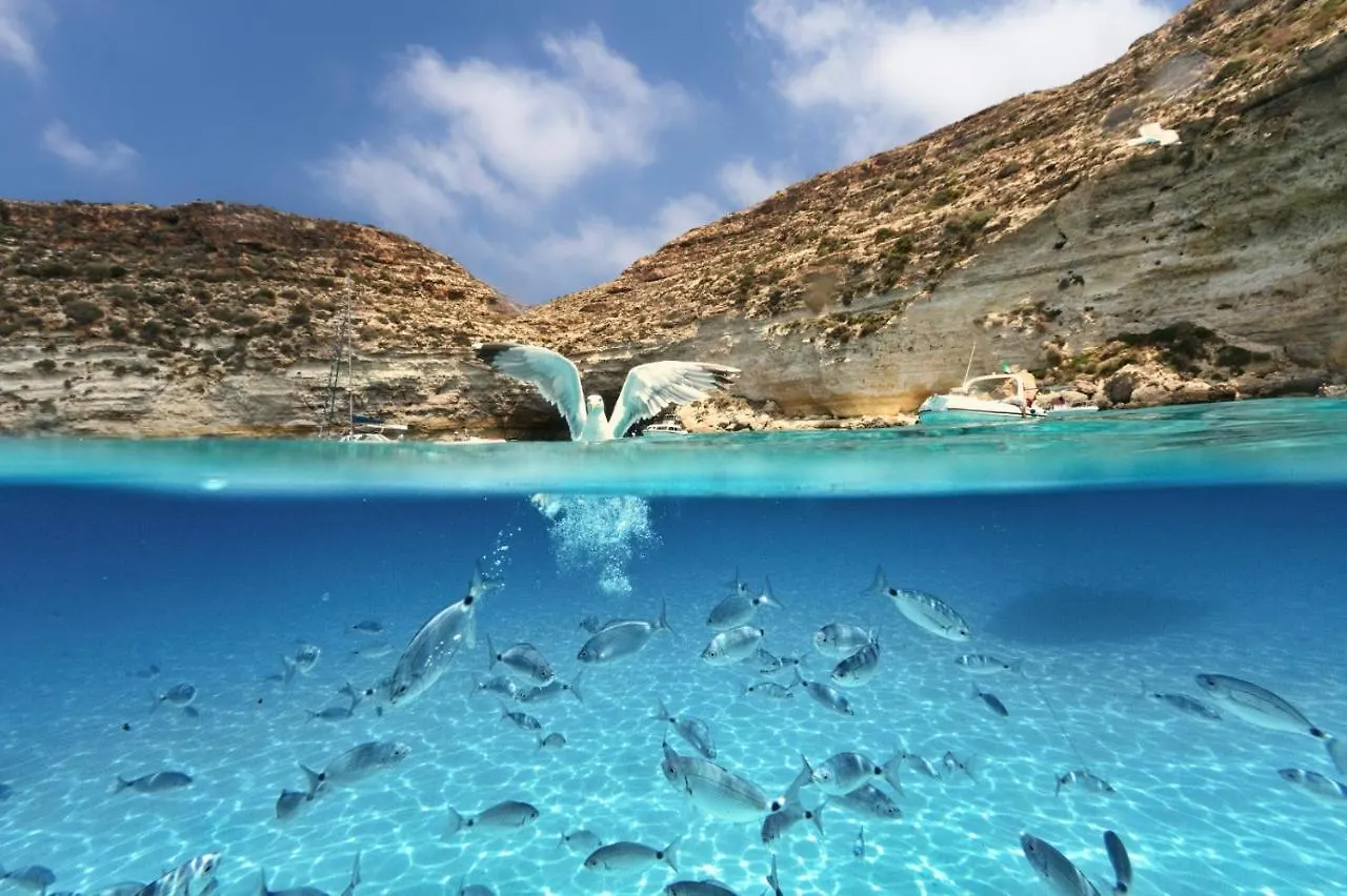 Appartamenti Pomelia - Lampedusa 0*,  Italy