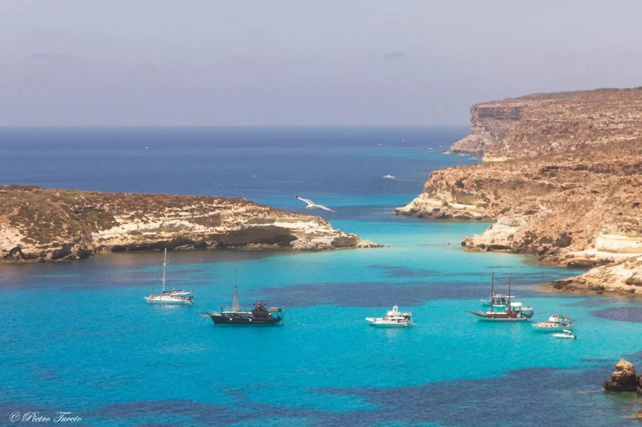 Apartment Appartamenti Pomelia - Lampedusa Italy